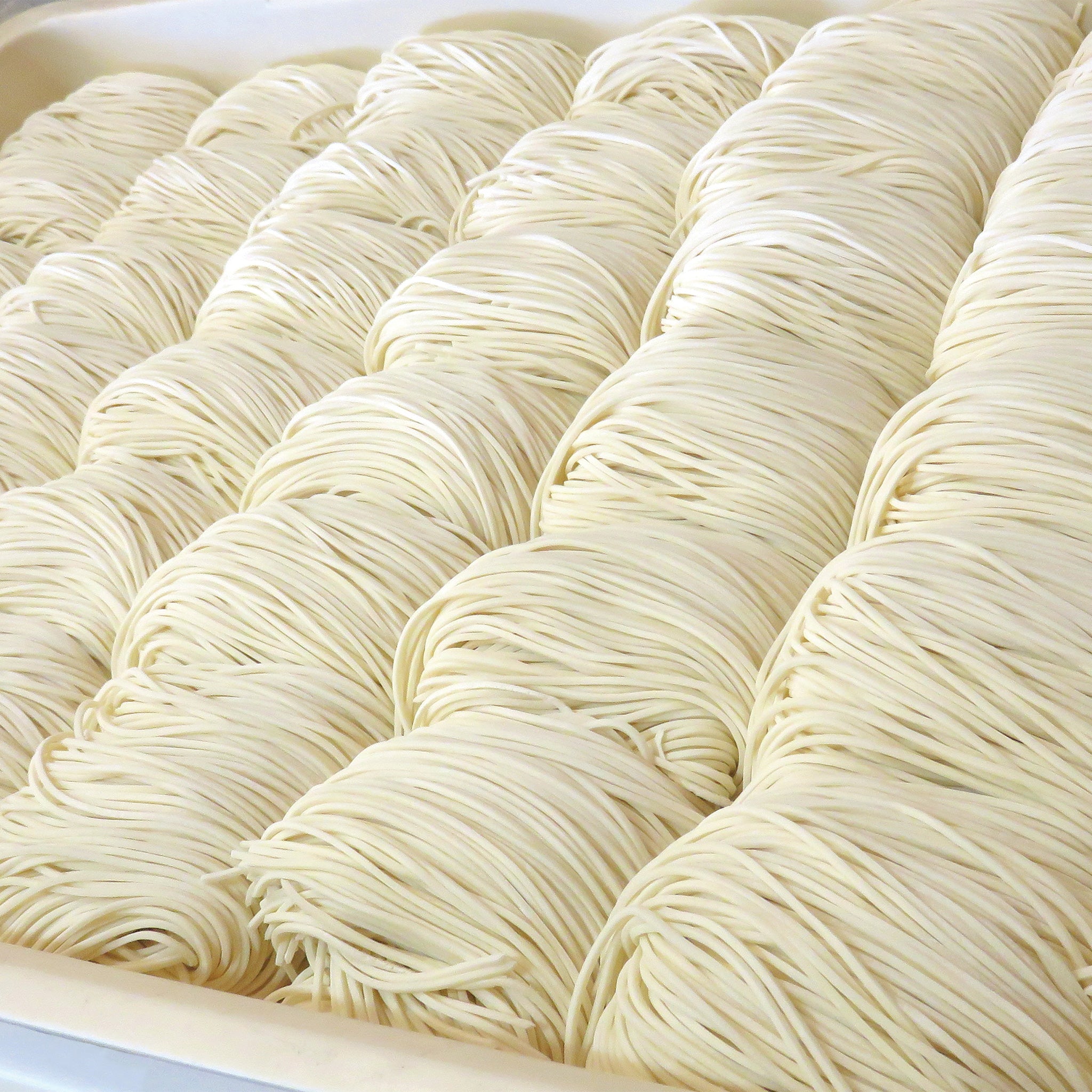 Extra Noodles